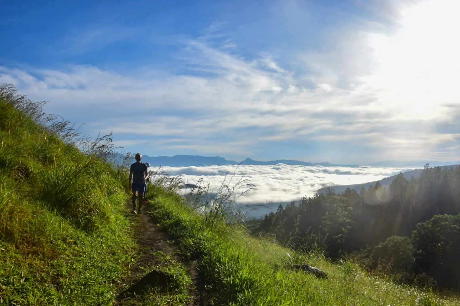 Pekoe Trail